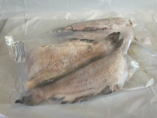 catfish